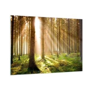 Impression sur verre - Image sur verre - Les rayons du soleil pénètrent à travers les arbres de la forêt - 100x70cm - Les elfes vont bientôt apparaître - Décoration murale moderne pour le salon et la chambre ARTTOR