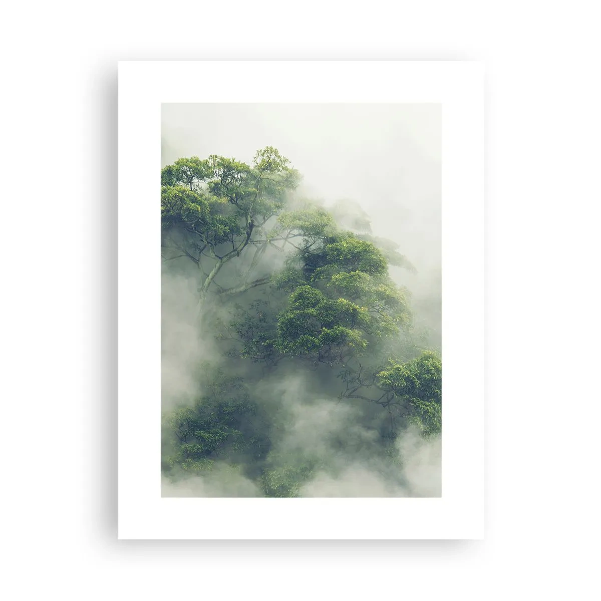 Affiche - Poster - Enveloppé de brouillard - 30x40 cm