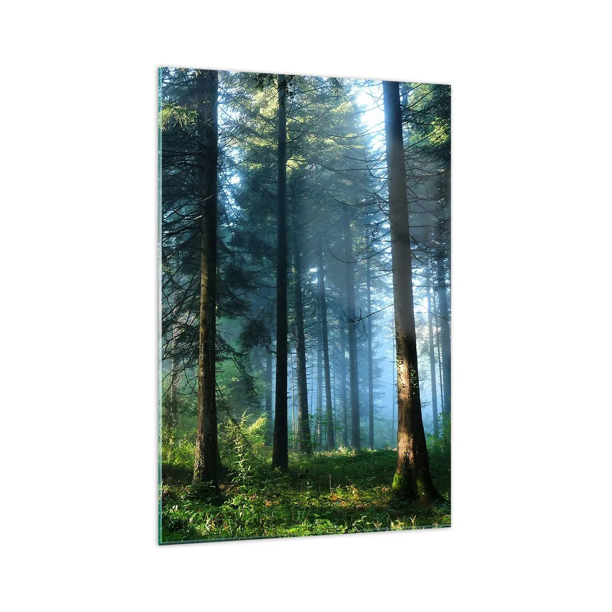 Impression sur verre - Image sur verre - Un chemin forestier illuminé par les rayons du soleil du matin - 70x100cm - Rayonnant le matin - Décoration murale moderne pour le salon et la chambre ARTTOR