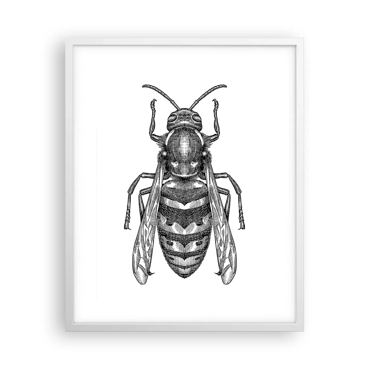 Affiche dans un cadre blanc - Poster - D'une planète d'insectes - 40x50 cm