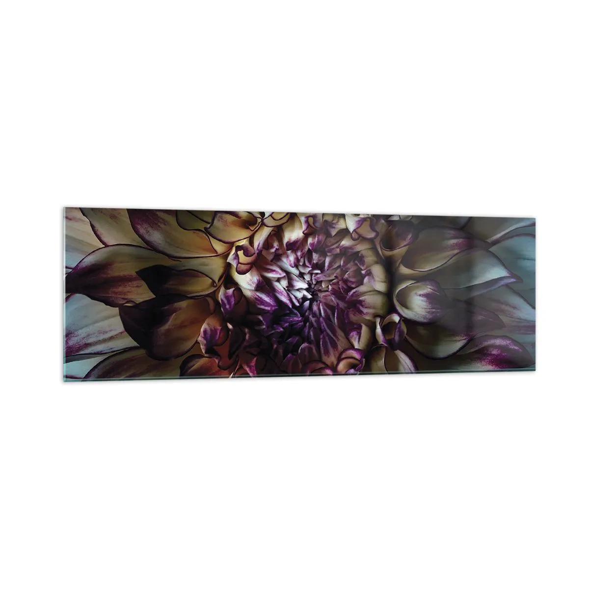 Impression sur verre - Image sur verre - Gros plan d'une fleur de dahlia dans des tons sombres - 160x50cm - L'apogée de la jeunesse - Décoration murale moderne pour le salon et la chambre ARTTOR