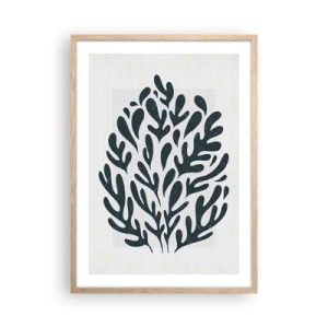 Affiche dans un chêne clair - Poster - Formes de la nature - 50x70 cm