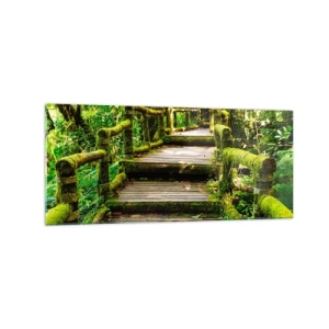 Impression sur verre - Image sur verre - Un pont en bois recouvert de mousse dans une forêt tropicale - 120x50cm - Un couloir de verdure - Décoration murale moderne pour le salon et la chambre ARTTOR