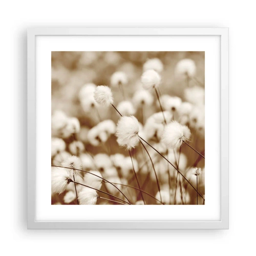 Affiche dans un cadre blanc - Poster - Tige moelleuse - 40x40 cm