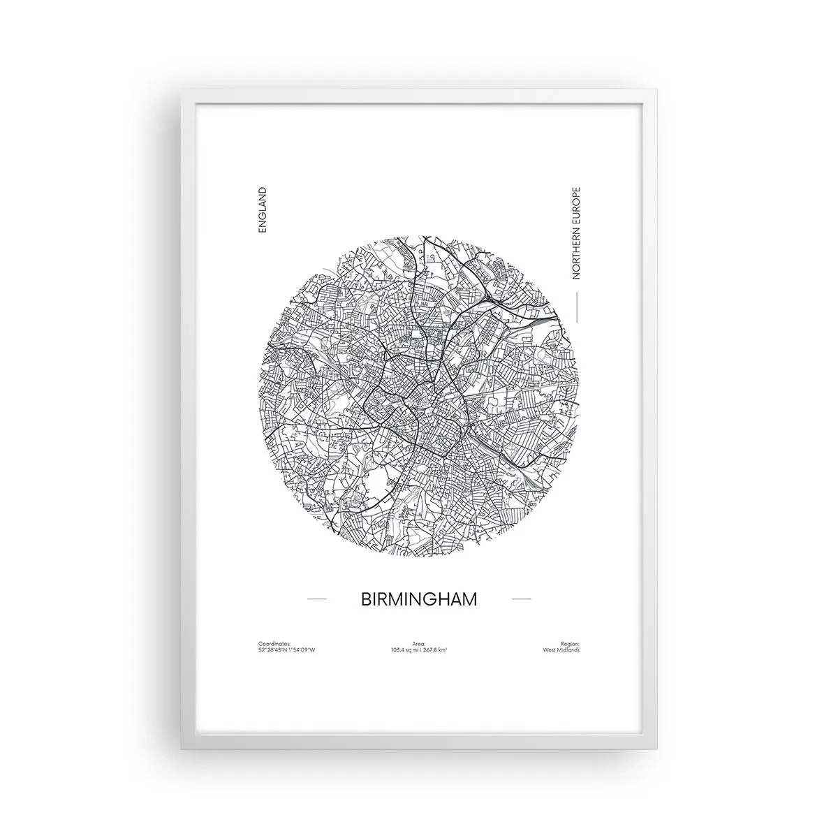 Affiche dans un cadre blanc - Poster - Anatomie de Birmingham - 50x70 cm