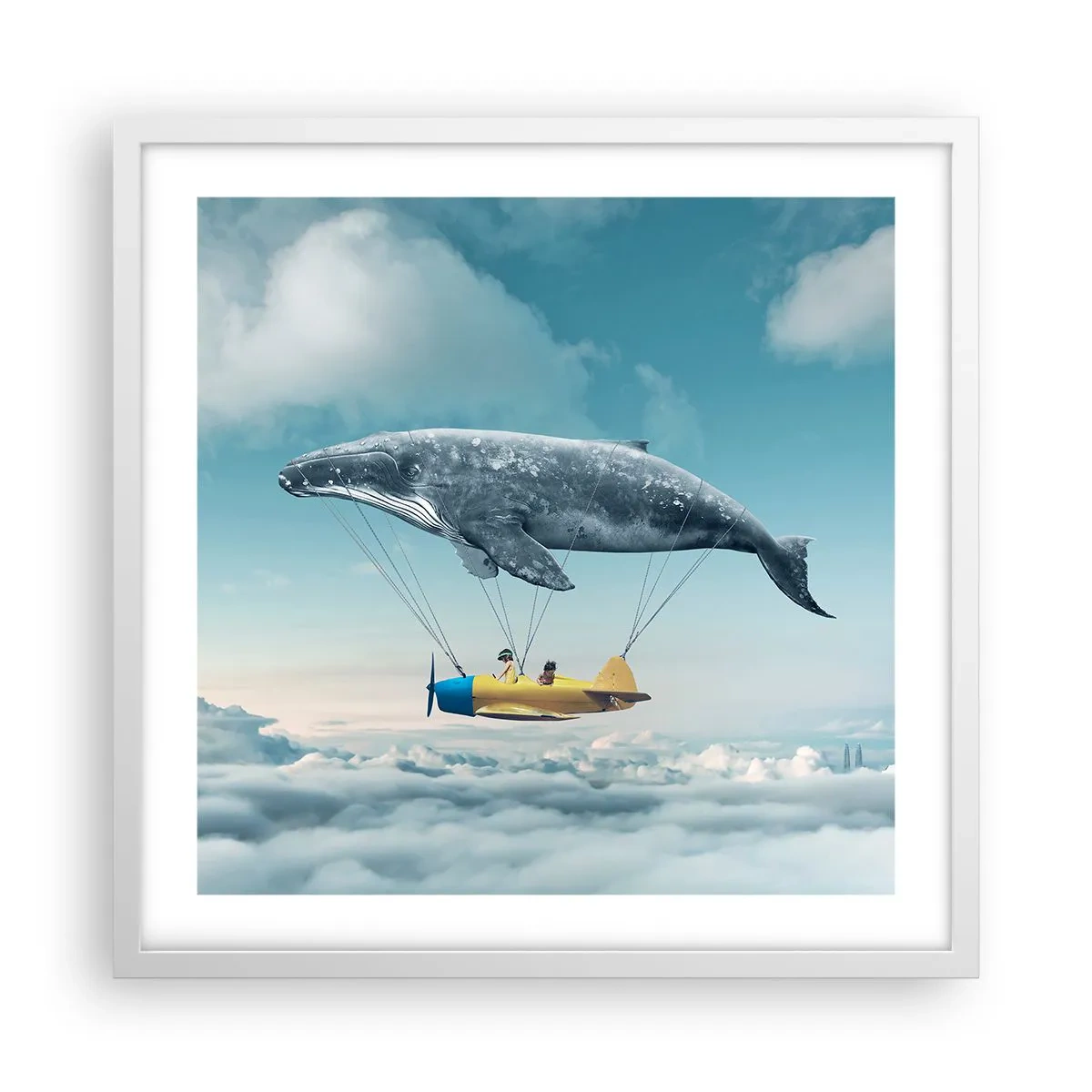 Affiche dans un cadre blanc - Poster - Pourquoi pas? - 50x50 cm