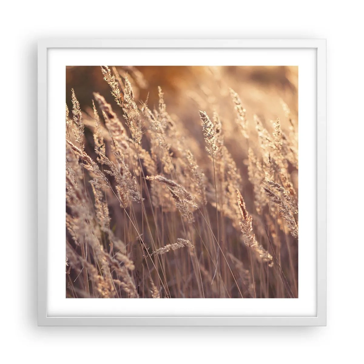 Affiche dans un cadre blanc - Poster - Prêt à accueillir l'automne - 50x50 cm