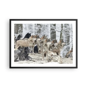 Affiche dans un cadre noir - Poster - Une meute de loups dans la forêt d'hiver - 70x50cm - Famille et amis - Décoration murale moderne pour le salon et la chambre ARTTOR