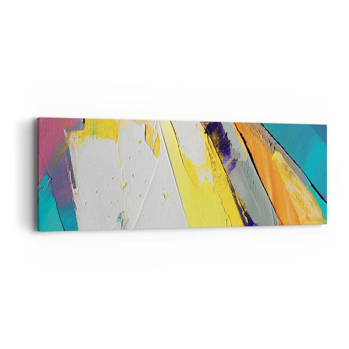 Impression sur toile - Image sur toile - Anatomie du monde - 90x30 cm