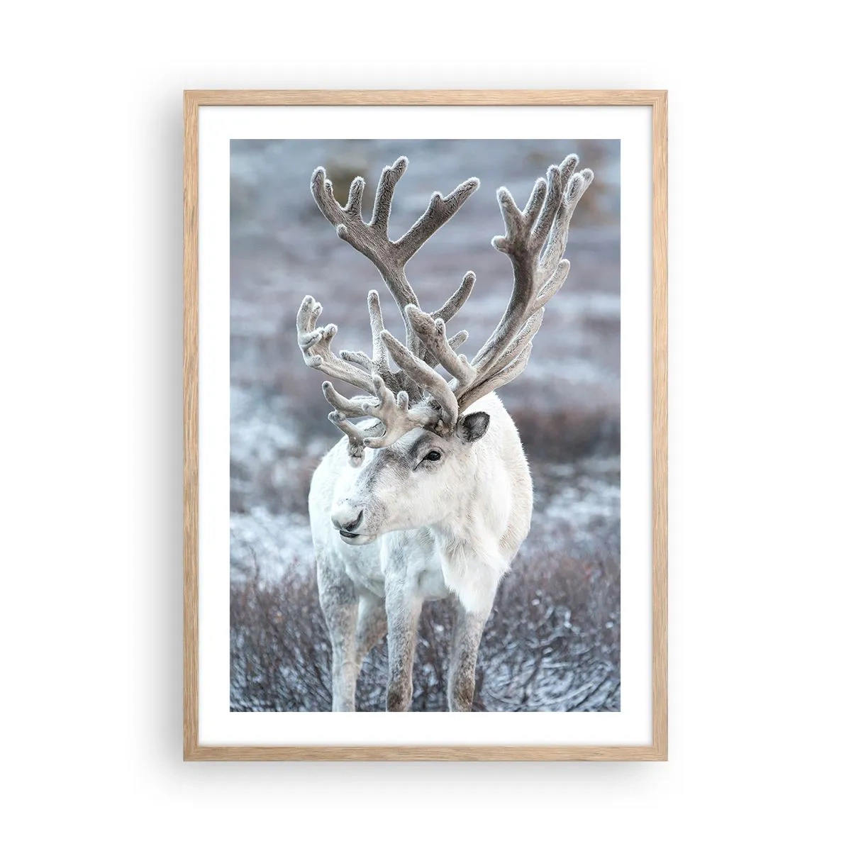 Affiche dans un chêne clair - Poster - Portrait au soleil - 50x70 cm