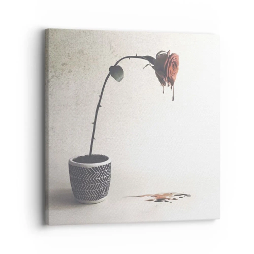 Impression sur toile - Image sur toile - Rosa dolorosa - 30x30 cm