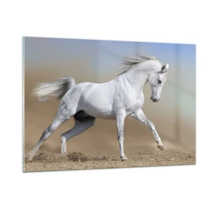 Impression sur verre - Image sur verre - Un cheval blanc galopant sur le sol sablonneux - 120x80cm - Le plus beau conte de fées arabe - Décoration murale moderne pour le salon et la chambre ARTTOR
