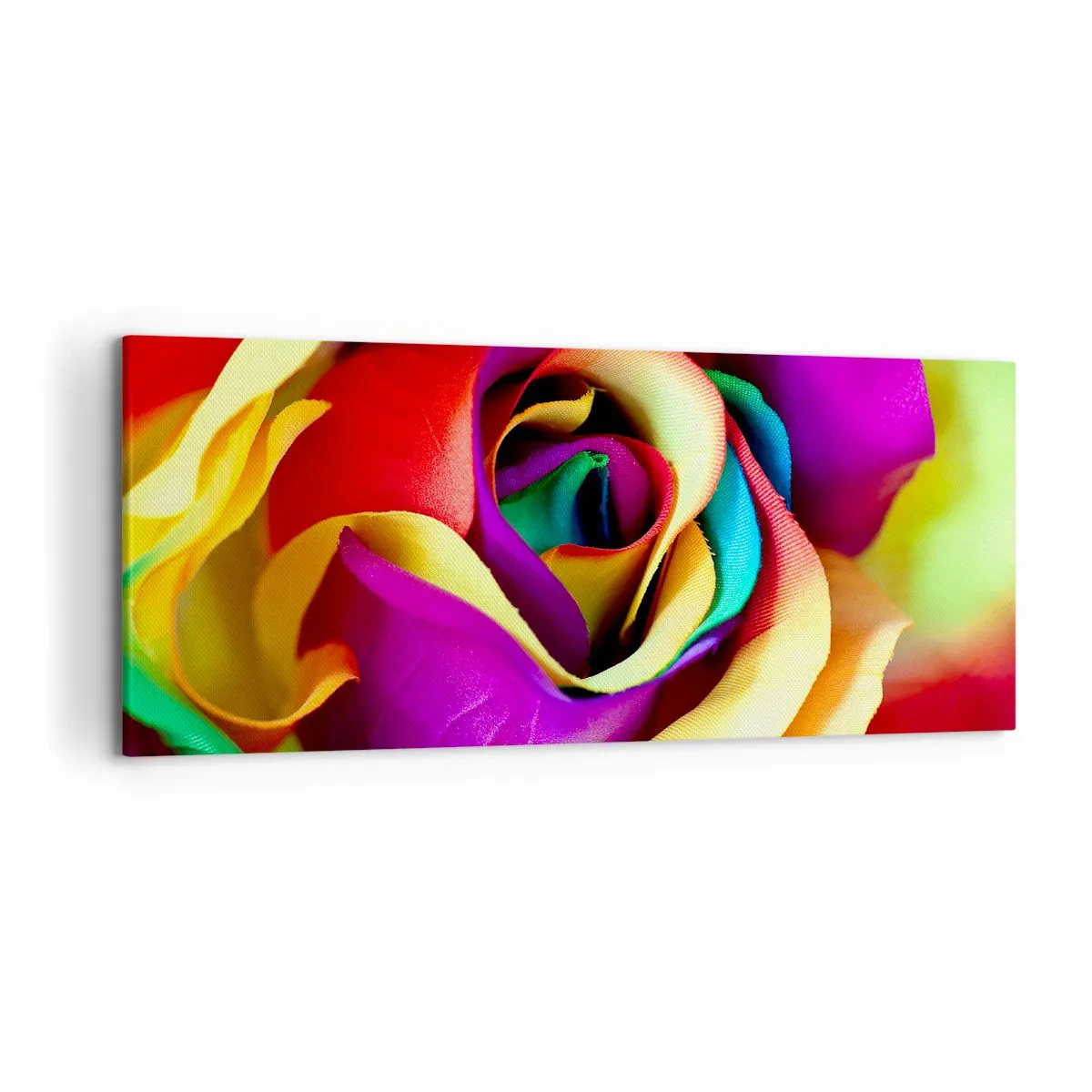 Impression sur toile - Image sur toile - Une rose colorée aux nuances de l'arc-en-ciel - 120x50cm - Ce n'est pas possible - Décoration murale moderne pour le salon et la chambre ARTTOR