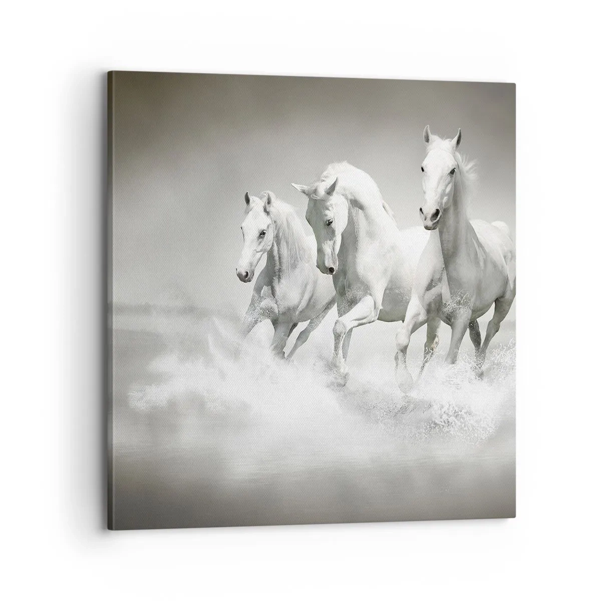 Impression sur toile - Image sur toile - La folie blanche - 70x70 cm