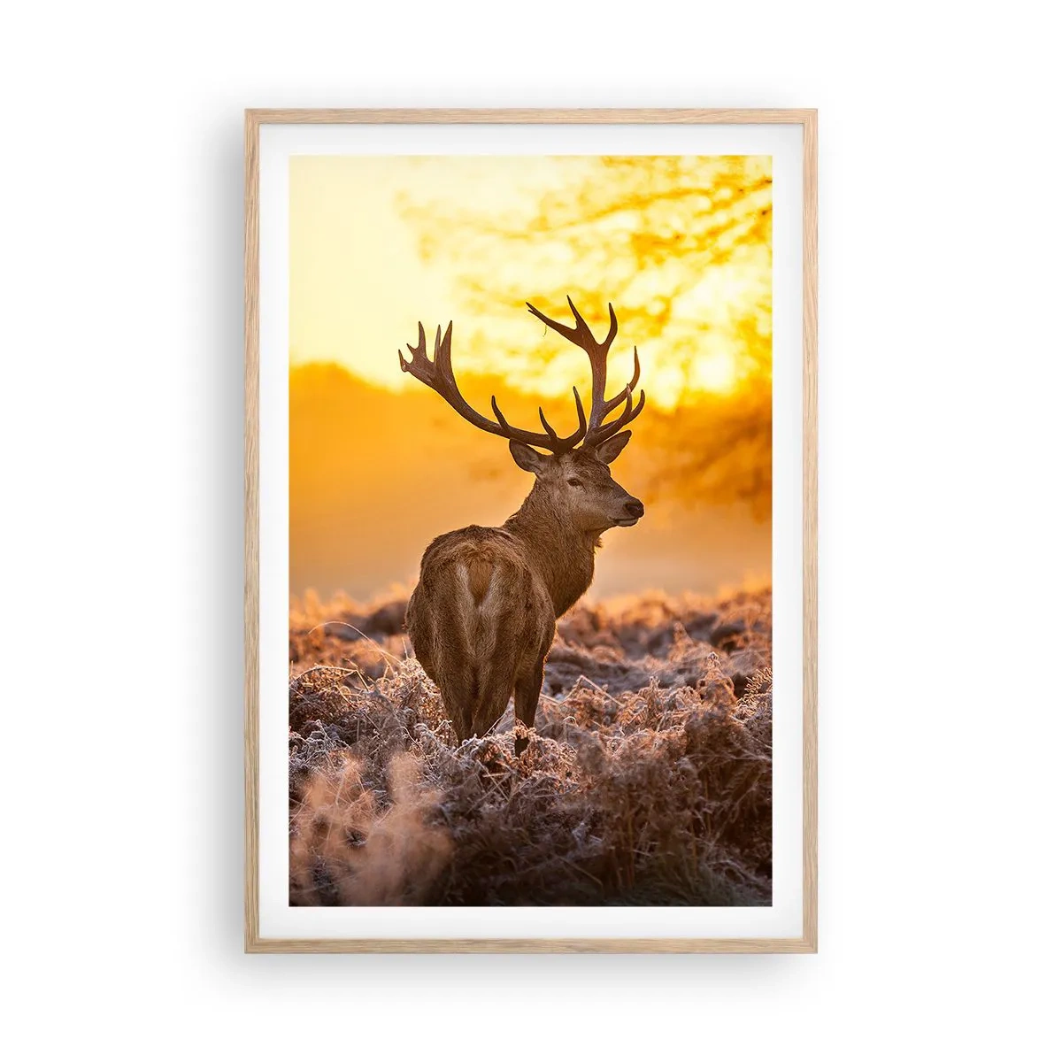 Affiche dans un chêne clair - Poster - Roi de la forêt automnal - 61x91 cm