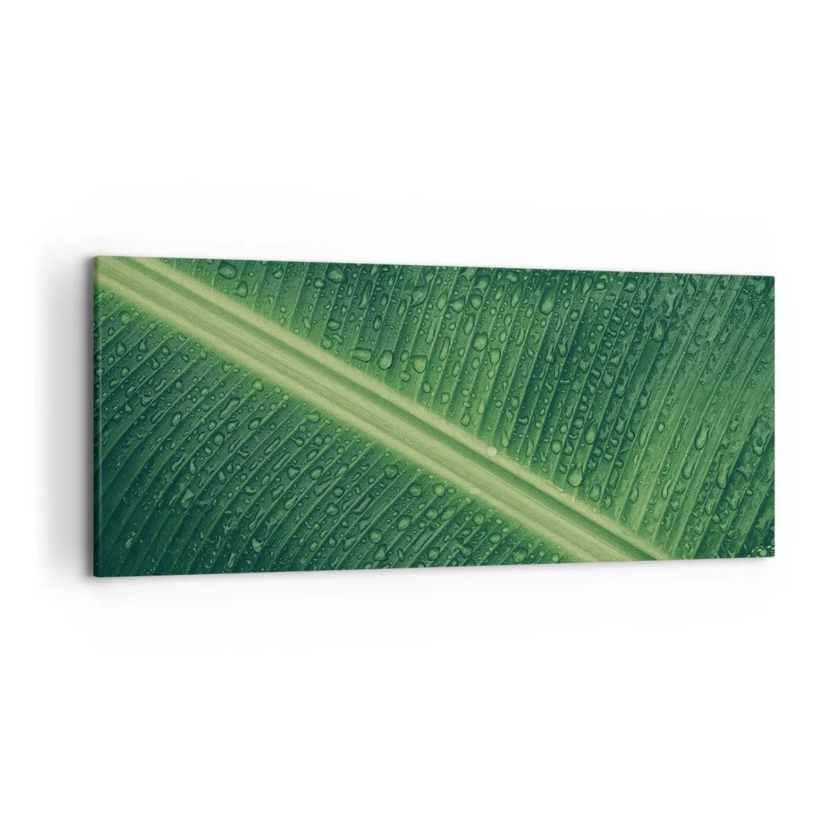 Impression sur toile - Image sur toile - Une feuille verte avec des gouttes d'eau à sa surface - 120x50cm - Structure de vert - Décoration murale moderne pour le salon et la chambre ARTTOR