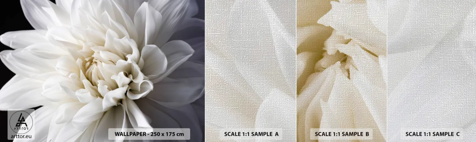 Échantillon de Papier Peint Premium Canvas - Le matin de la jeune mariéé - Fleur, Dahlia, Nature - 100x30 cm