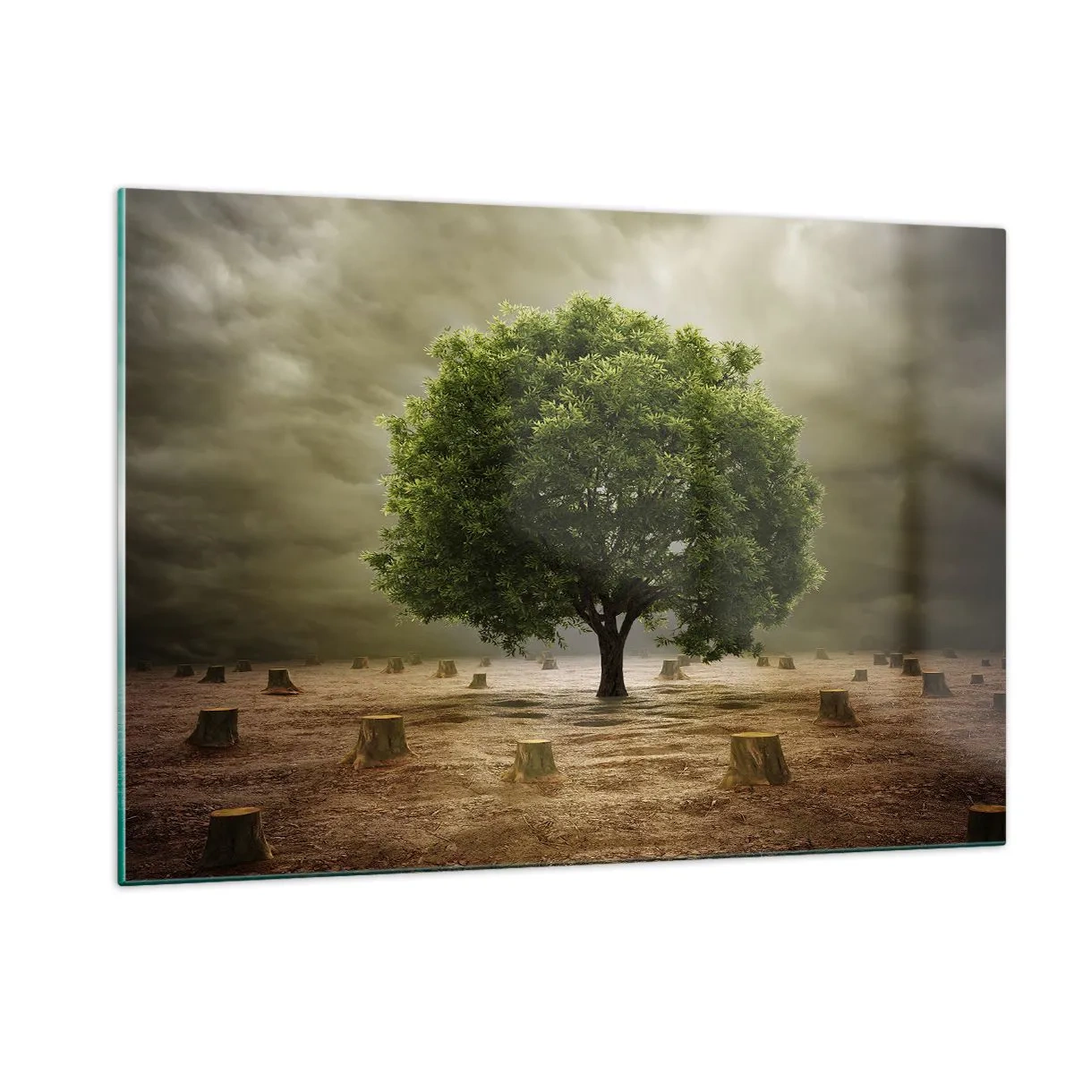 Impression sur verre - Image sur verre - Un arbre vert entouré de troncs contre un ciel sombre - 120x80cm - Tout l'espoir - Décoration murale moderne pour le salon et la chambre ARTTOR