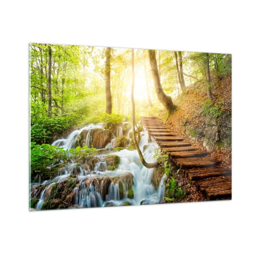 Impression sur verre - Image sur verre - Une cascade forestière avec un chemin en bois éclairé par la lumière du soleil - 100x70cm - Une fraîcheur tant désirée - Décoration murale moderne pour le salon et la chambre ARTTOR