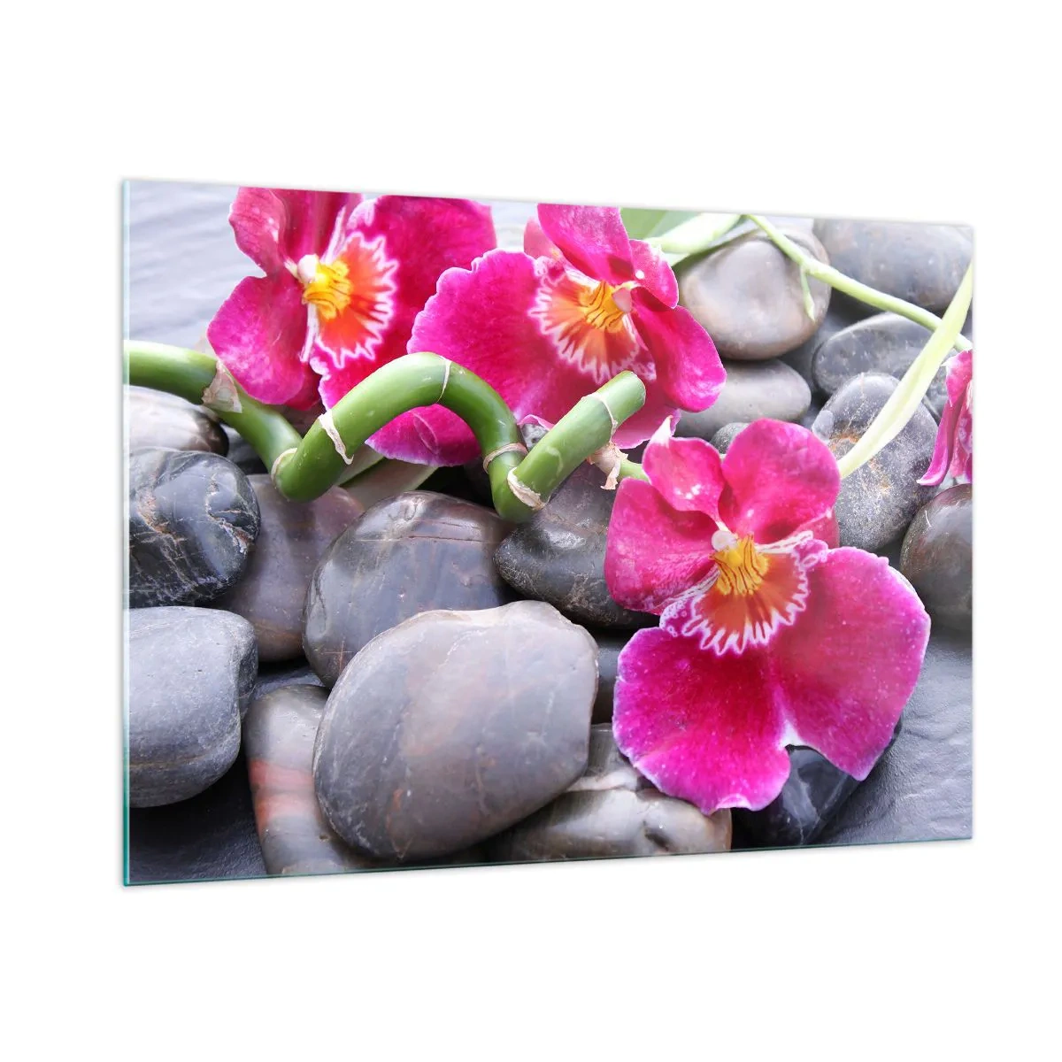 Impression sur verre - Image sur verre - Orchidées roses avec bambou sur pierres - 100x70cm - Refroidir et chauffer - Décoration murale moderne pour le salon et la chambre ARTTOR
