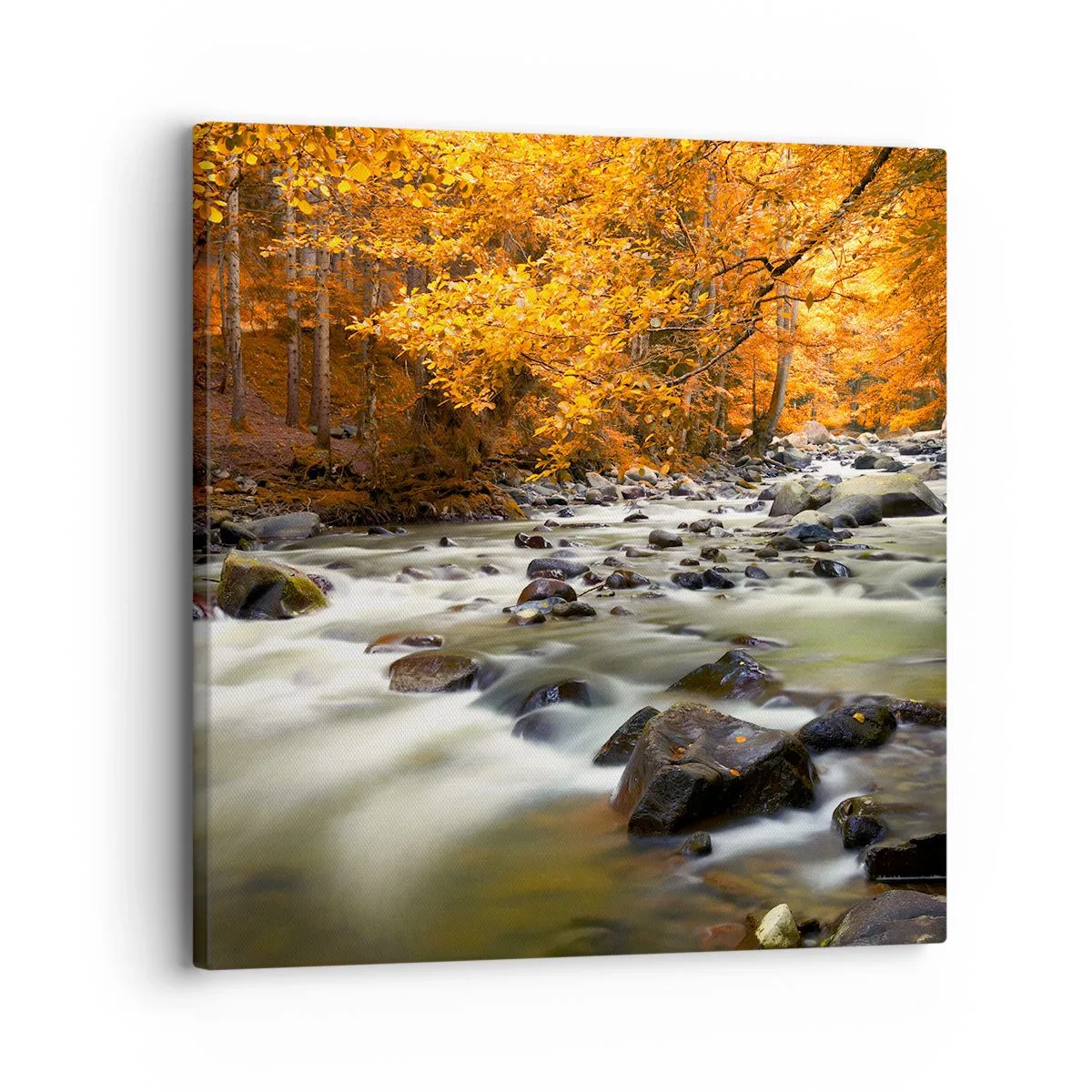Impression sur toile - Image sur toile - Un ruisseau dans une forêt dorée - 30x30 cm