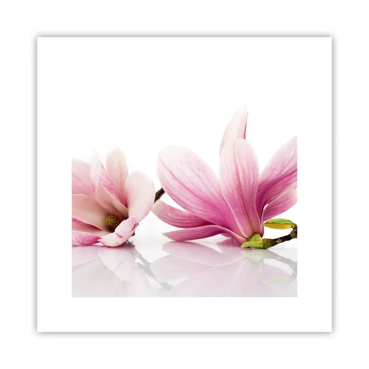 Affiche - Poster - Délicat comme une brise de printemps - 30x30 cm