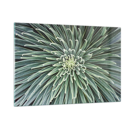 Impression sur verre - Image sur verre - Rosette symétrique de feuilles vertes en macrophotographie - 120x80cm - Naissance d'une étoile - Décoration murale moderne pour le salon et la chambre ARTTOR