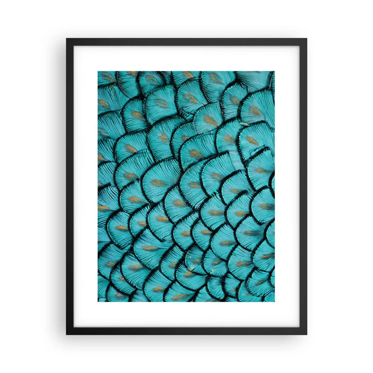 Affiche dans un cadre noir - Poster - Le grand gala des plumes - 40x50 cm