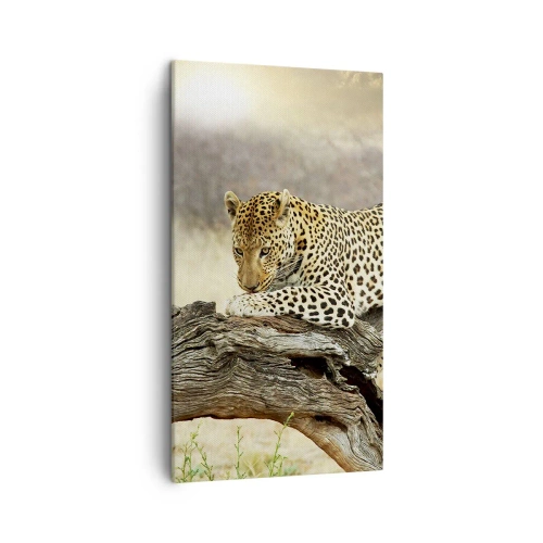 Impression sur toile - Image sur toile - Je suis ma propre route - 45x80 cm