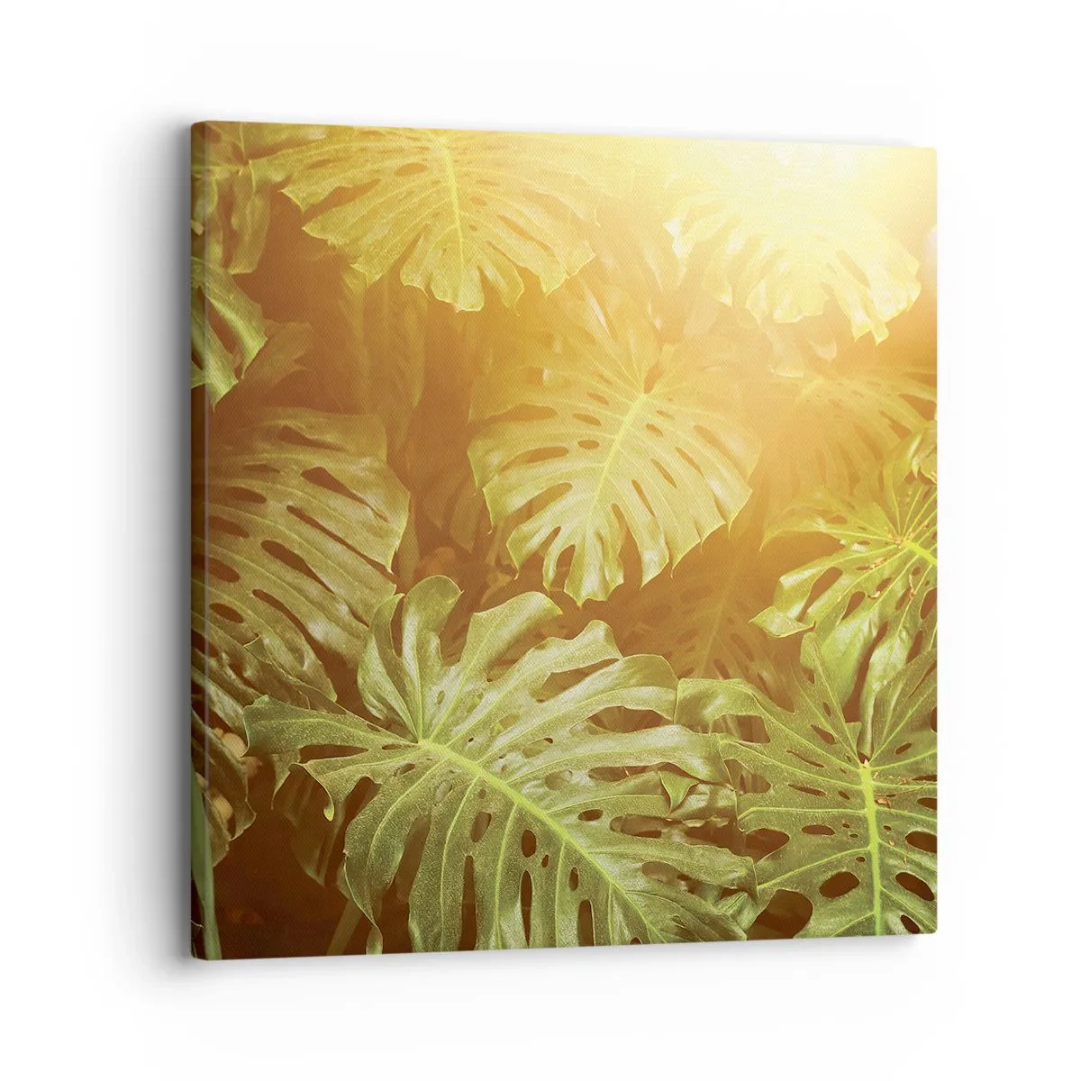 Impression sur toile - Image sur toile - Se fondre dans la verdure - 30x30 cm