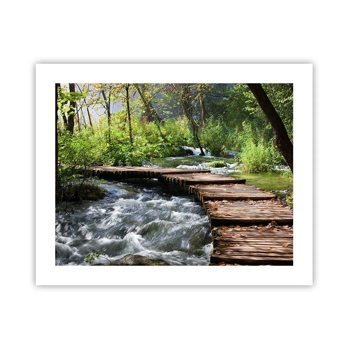 Affiche - Poster - Au-dessus de la cascade mousseuse - 50x40 cm