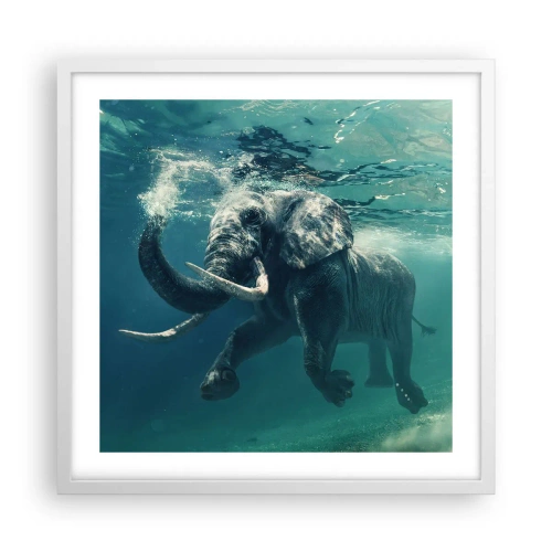 Affiche dans un cadre blanc - Poster - Tout le monde aime nager - 50x50 cm