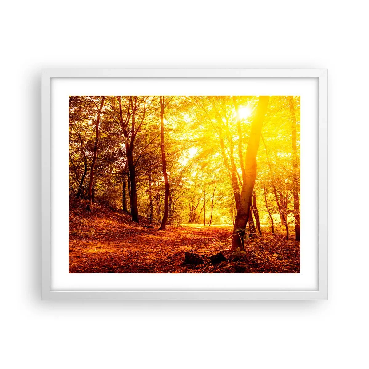 Affiche dans un cadre blanc - Poster - Vers la clairière dorée - 50x40 cm