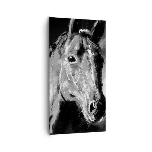 Impression sur toile - Image sur toile - L'éclat d'une âme noble - 65x120 cm