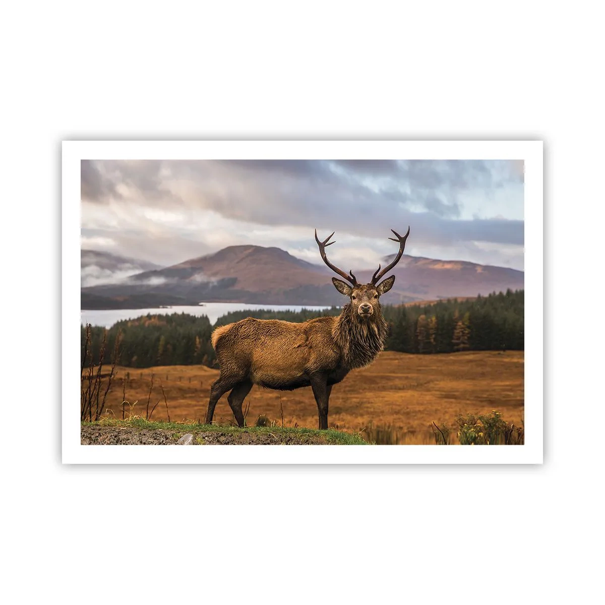 Affiche - Poster - Majesté de la nature - 91x61 cm