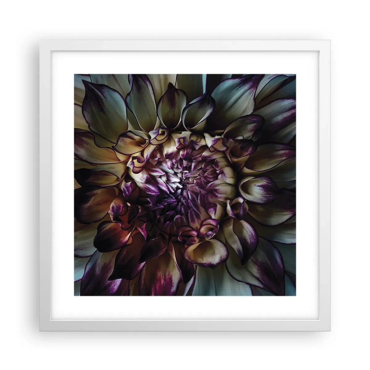 Affiche dans un cadre blanc - Poster - L'apogée de la jeunesse - 40x40 cm