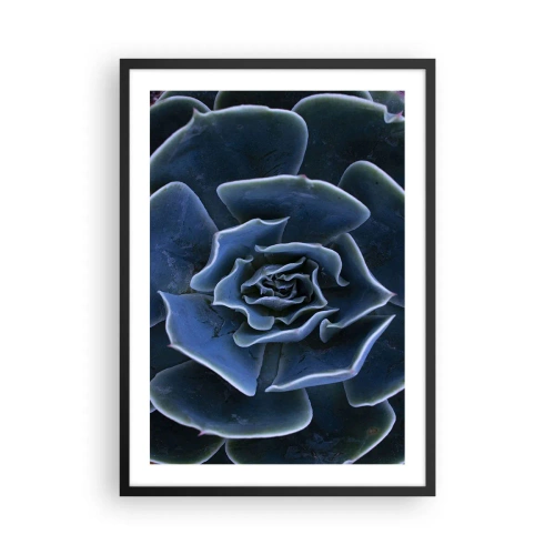 Affiche dans un cadre noir - Poster - Gros plan artistique d'un motif géométrique succulent - 50x70cm - Fleur du désert - Décoration murale moderne pour le salon et la chambre ARTTOR