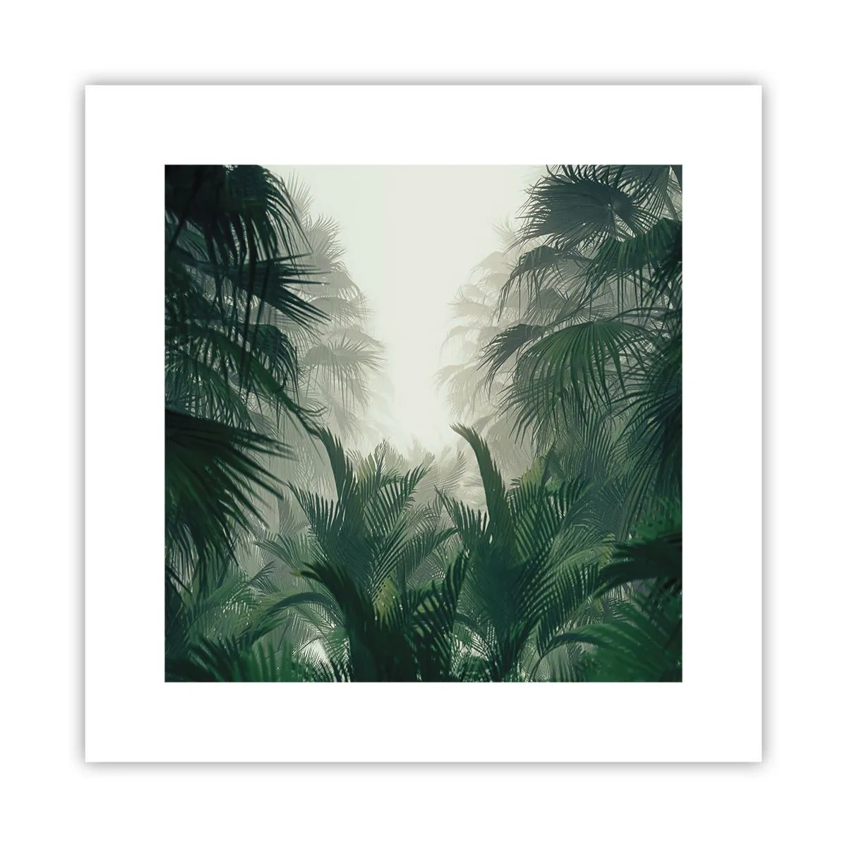 Affiche - Poster - Secret tropical - 30x30 cm