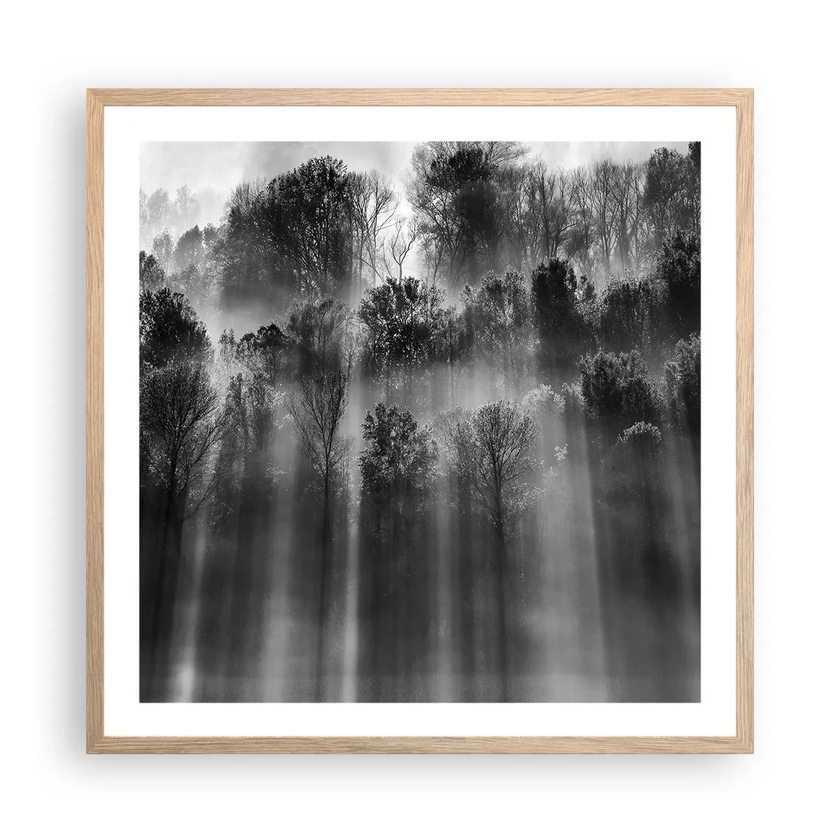 Affiche dans un chêne clair - Poster - Dans les flots de lumière - 60x60 cm