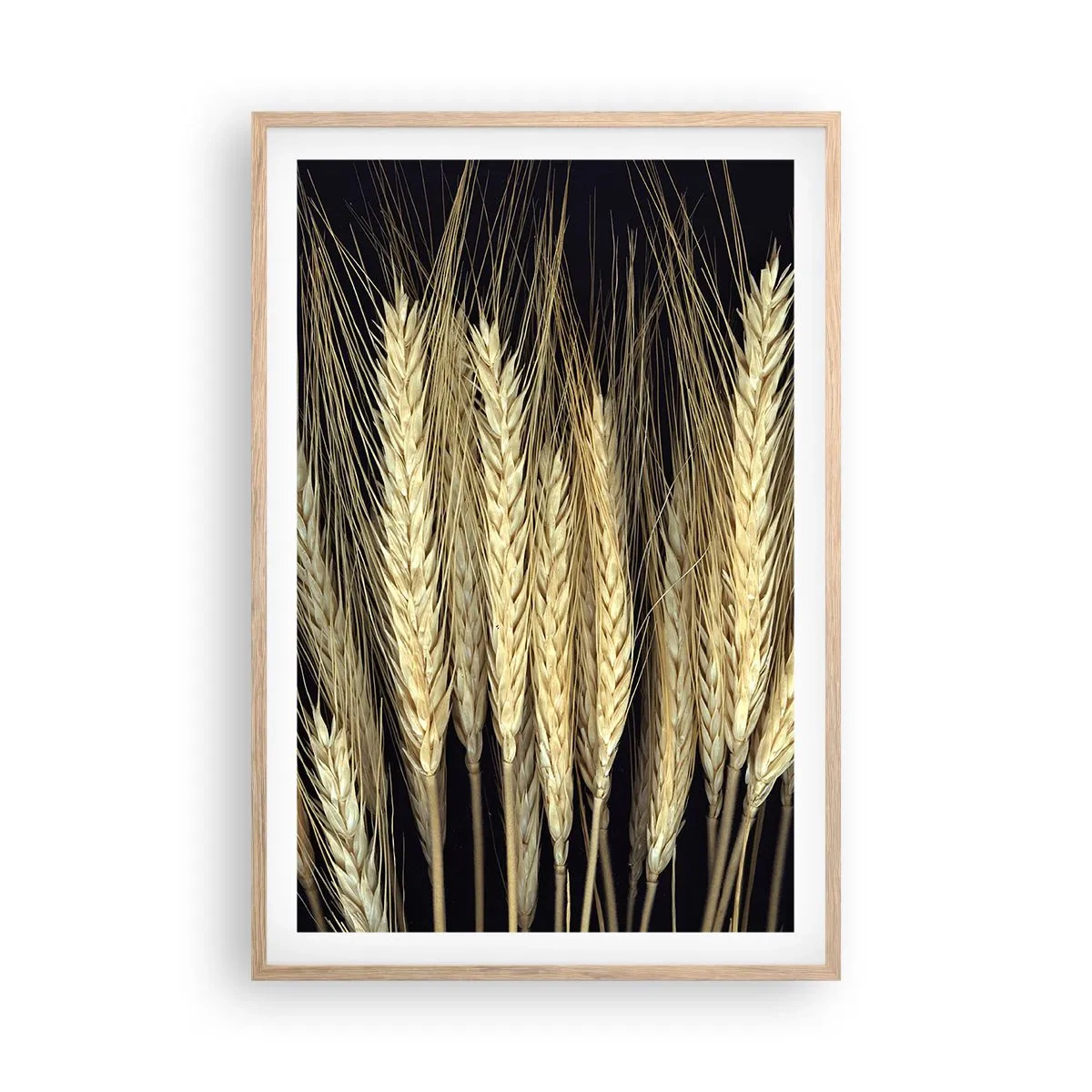 Affiche dans un chêne clair - Poster - Magie rustique - 61x91 cm