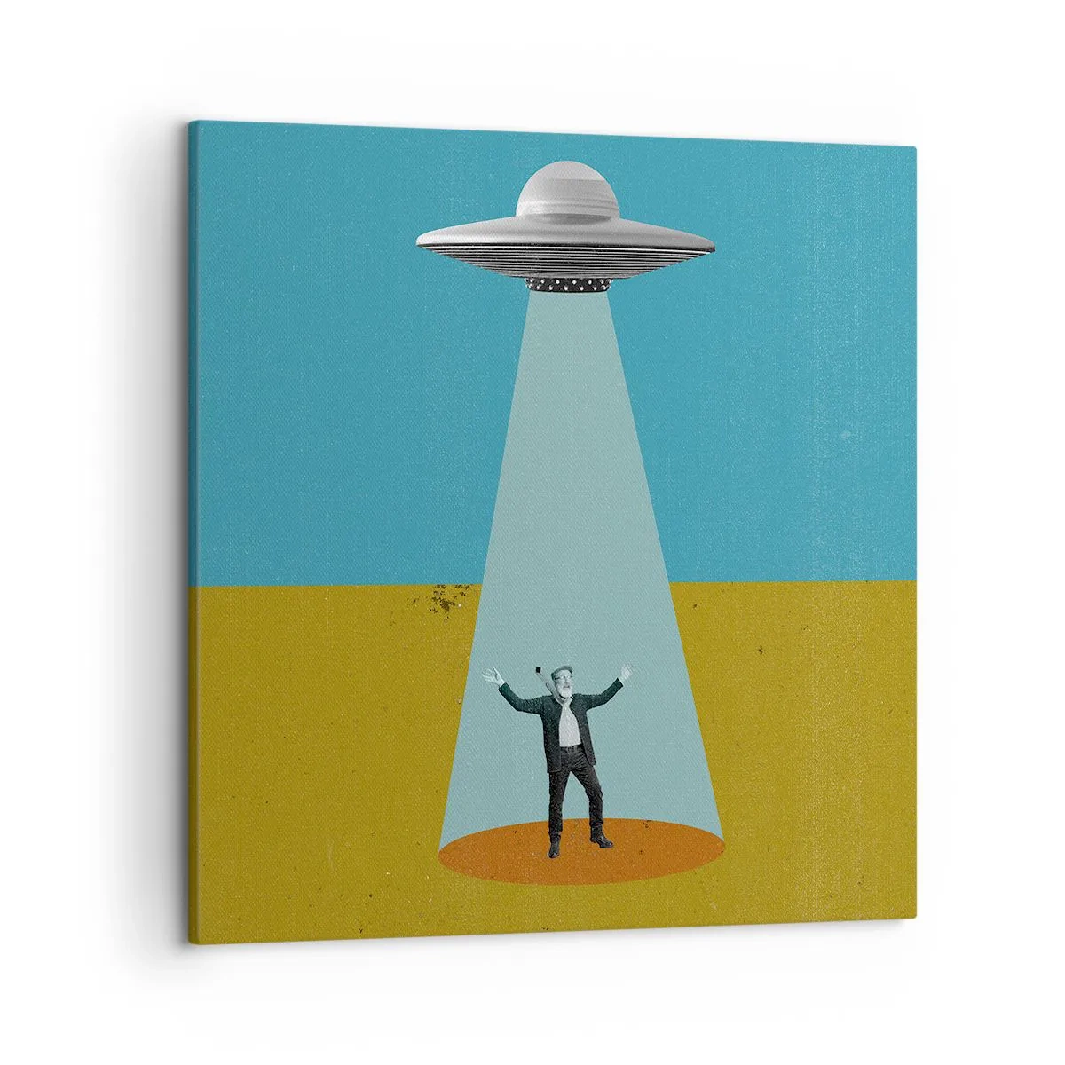 Impression sur toile - Image sur toile - Rencontre proche - 50x50 cm