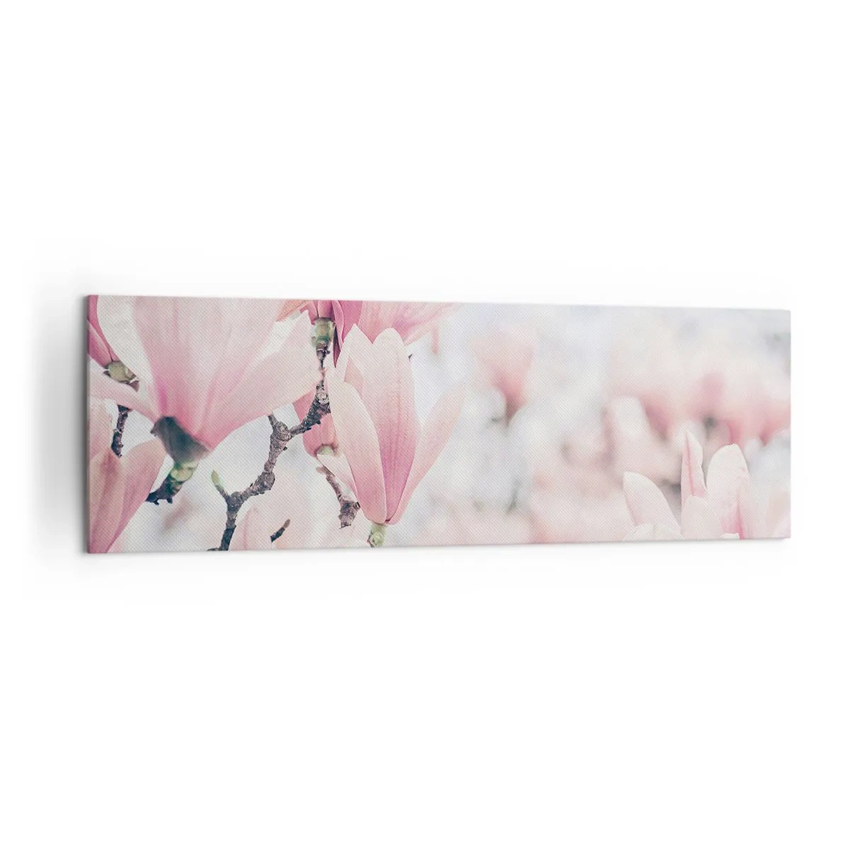 Impression sur toile - Image sur toile - Fleurs de magnolia subtiles aux délicates nuances roses - 160x50cm - Idéal de la subtilité - Décoration murale moderne pour le salon et la chambre ARTTOR