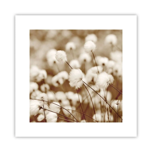 Affiche - Poster - Tige moelleuse - 30x30 cm