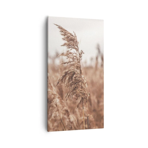 Impression sur toile - Image sur toile - C'est déjà l'automne dans les champs - 55x100 cm