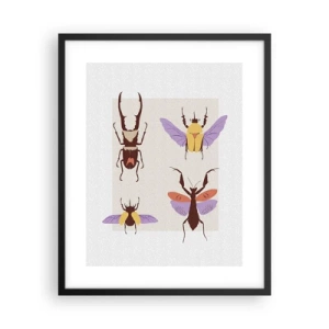 Affiche dans un cadre noir - Poster - Le monde des insectes - 40x50 cm