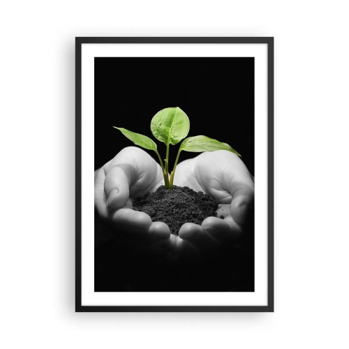 Affiche dans un cadre noir - Poster - Une plante dans les mains symbolisant la vie et la nature - 50x70cm - J'aime la nature, je la protège - Décoration murale moderne pour le salon et la chambre ARTTOR