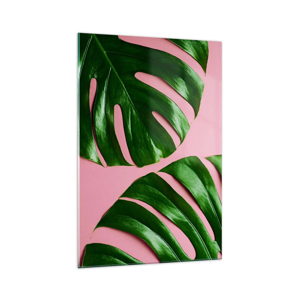 Impression sur verre - Image sur verre - Feuilles de monstera vertes sur fond rose - 70x100cm - Rendez-vous vert - Décoration murale moderne pour le salon et la chambre ARTTOR
