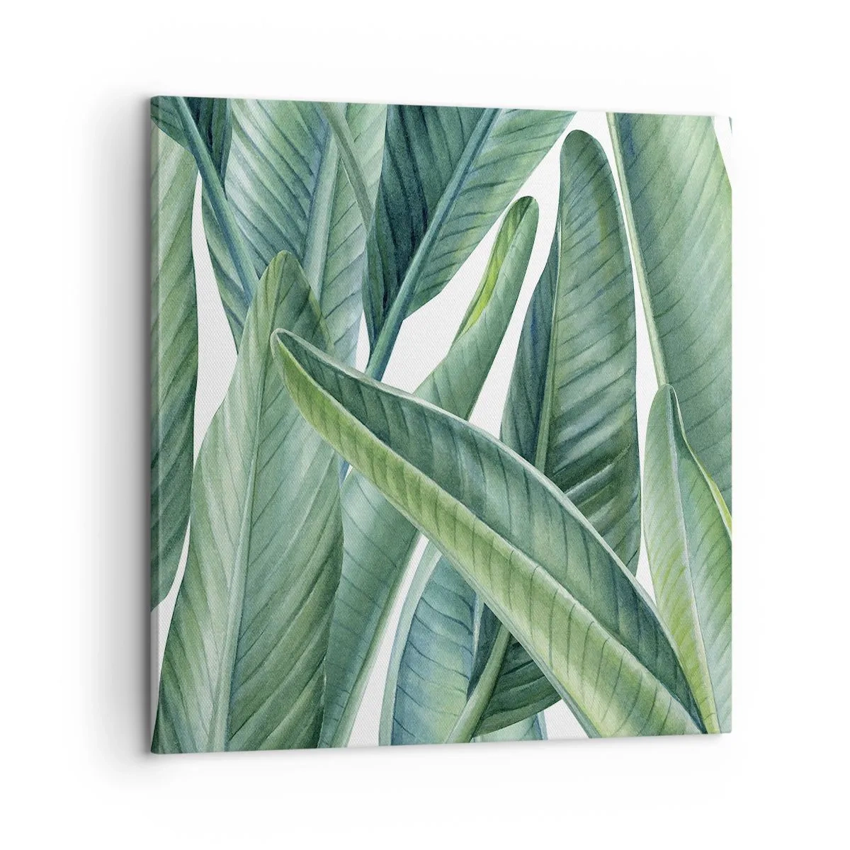 Impression sur toile - Image sur toile - La nature face à elle-même - 60x60 cm