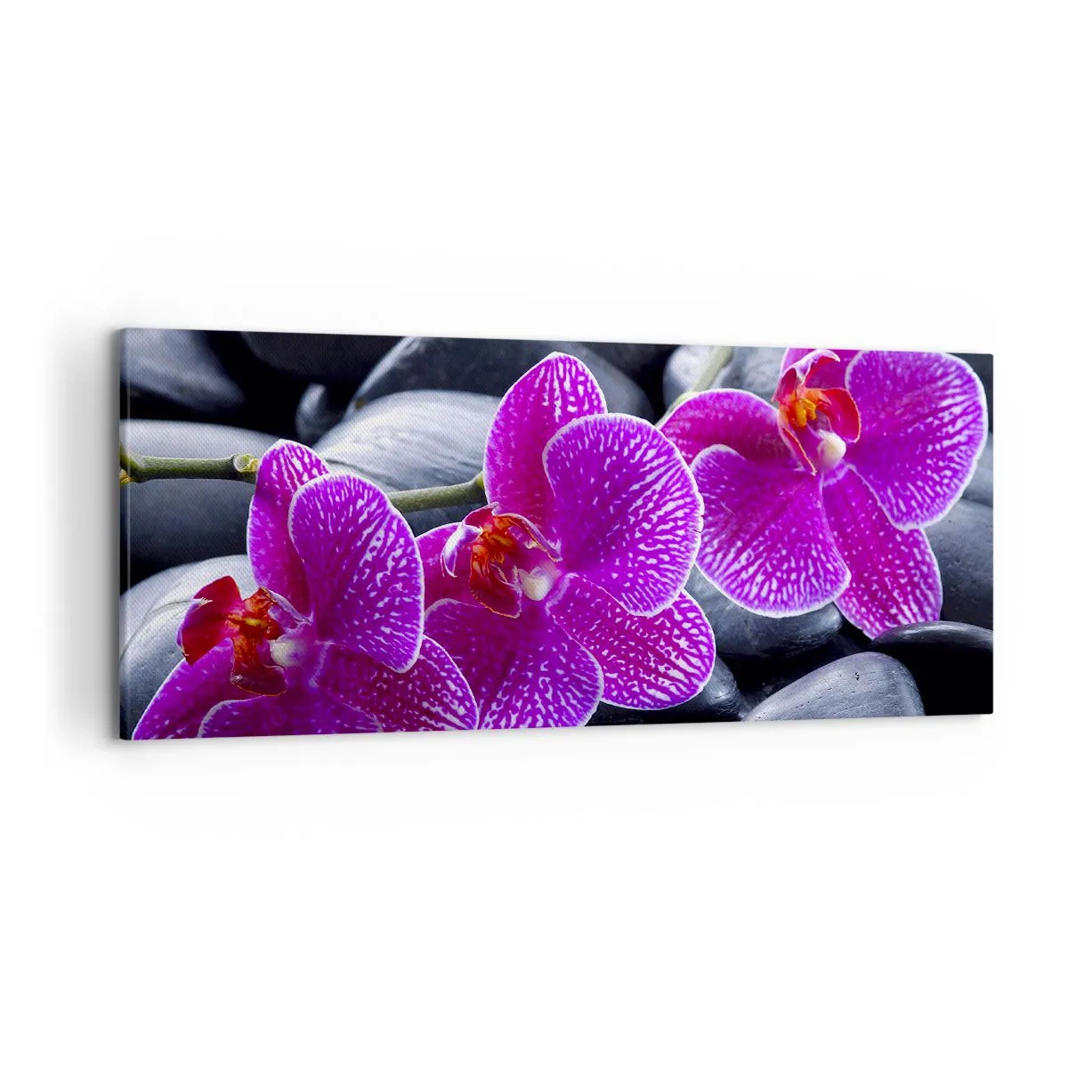 Impression sur toile - Image sur toile - Orchidées violettes sur fond de pierres noires - 120x50cm - Les pierres brillaient de joie - Décoration murale moderne pour le salon et la chambre ARTTOR
