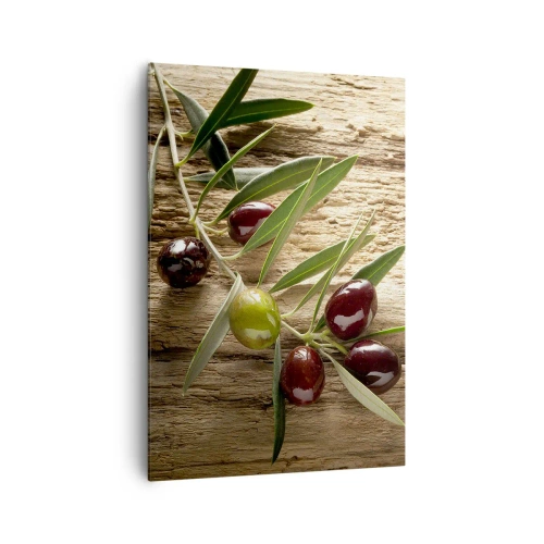 Impression sur toile - Image sur toile - Branche d'olivier avec des fruits sur un fond de bois vieilli - 70x100cm - Directement de la nature - Décoration murale moderne pour le salon et la chambre ARTTOR